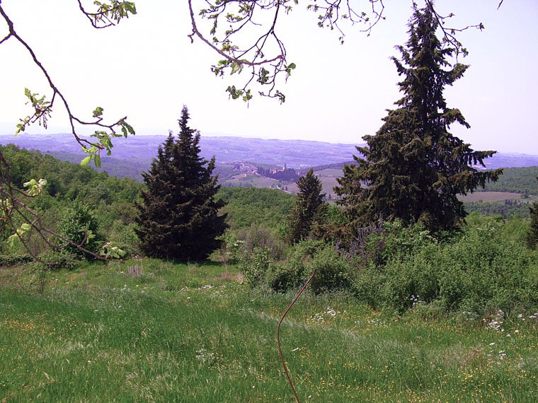 Badia a Passignano
