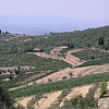 Castellina in Chianti