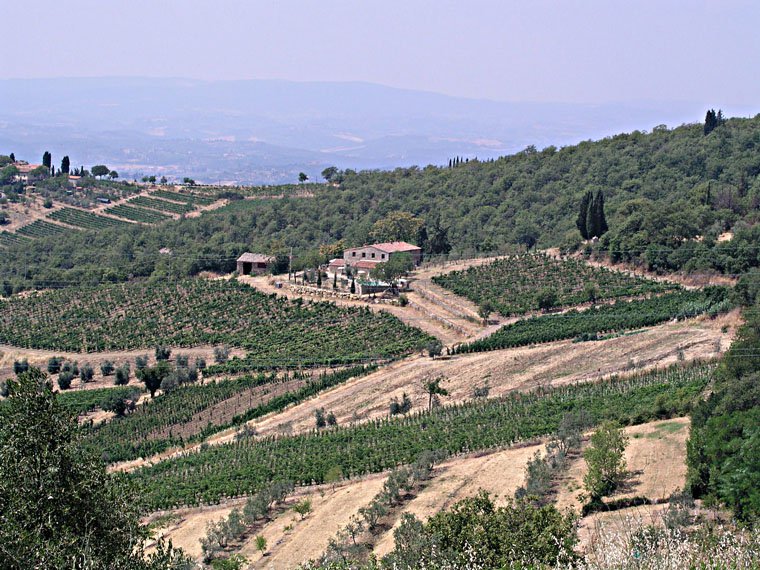 Castellina in Chianti