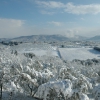 Chianti vineyards under the snow