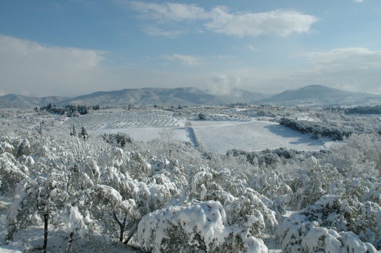 Chianti vineyards under the snow