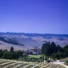 Chianti Landscape
