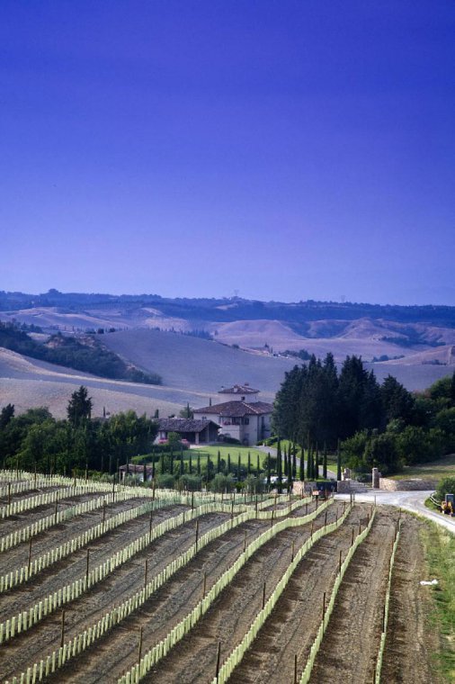 Chianti Landscape