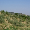 Greve in Chianti