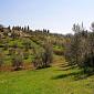 Pieve of San Cresci