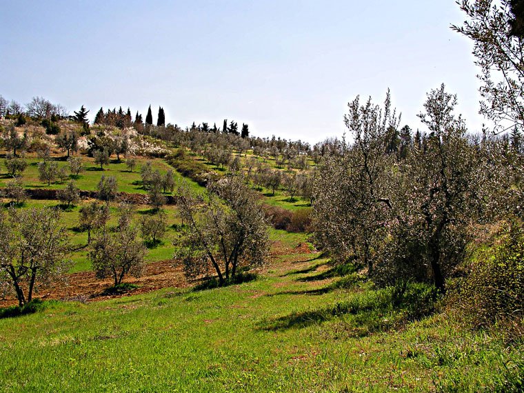 Pieve di San Cresci
