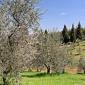 Pieve di San Cresci