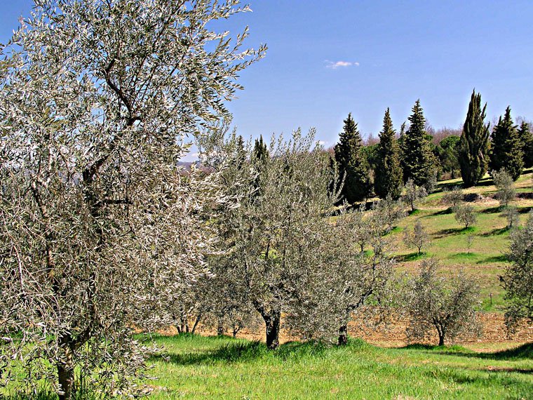 Pieve di San Cresci