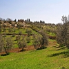 Pieve di San Cresci