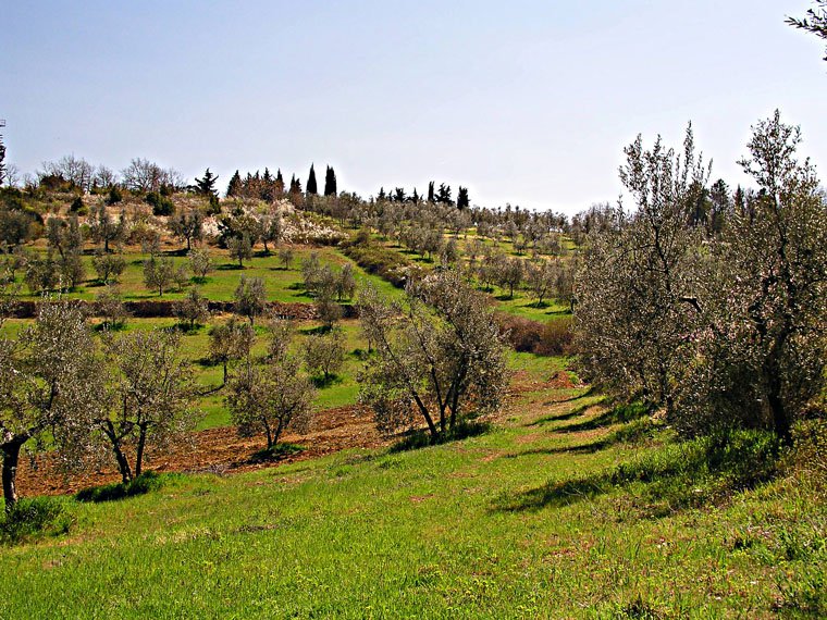 Pieve di San Cresci