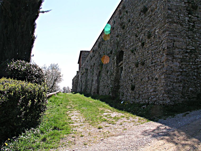 Pieve di San Cresci