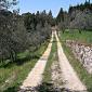 Pieve di San Cresci