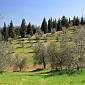 Pieve di San Cresci