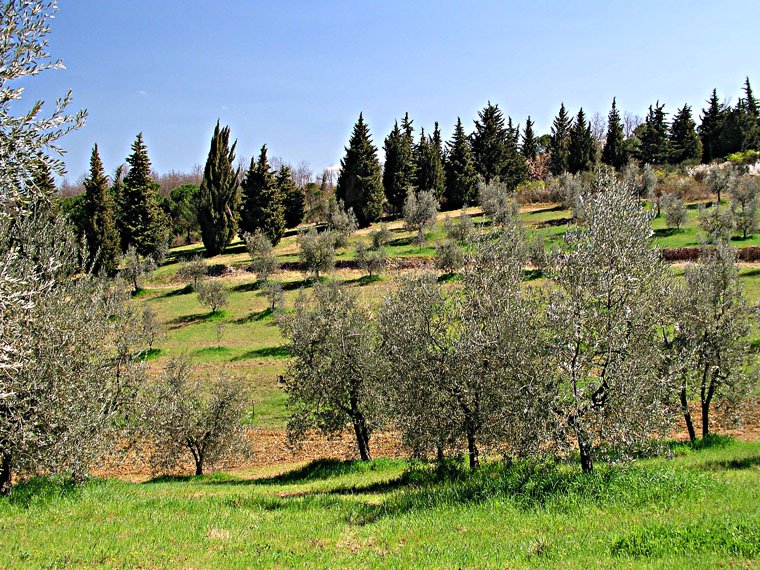 Pieve di San Cresci