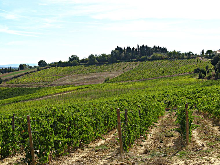Siena