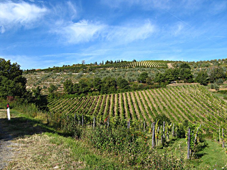 Siena