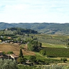 Siena