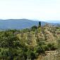 Siena