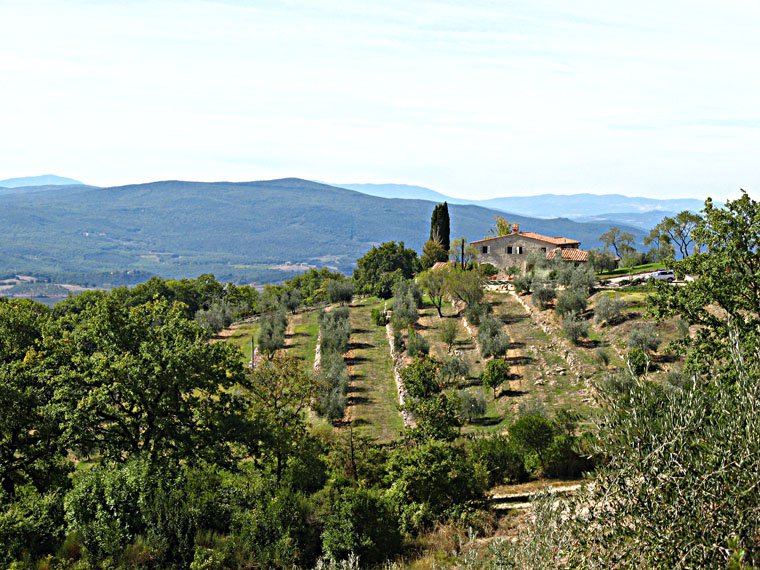 Siena