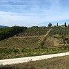 Siena