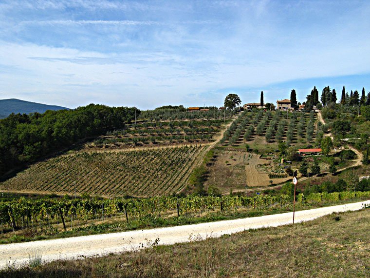 Siena