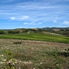 Siena