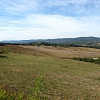 Siena