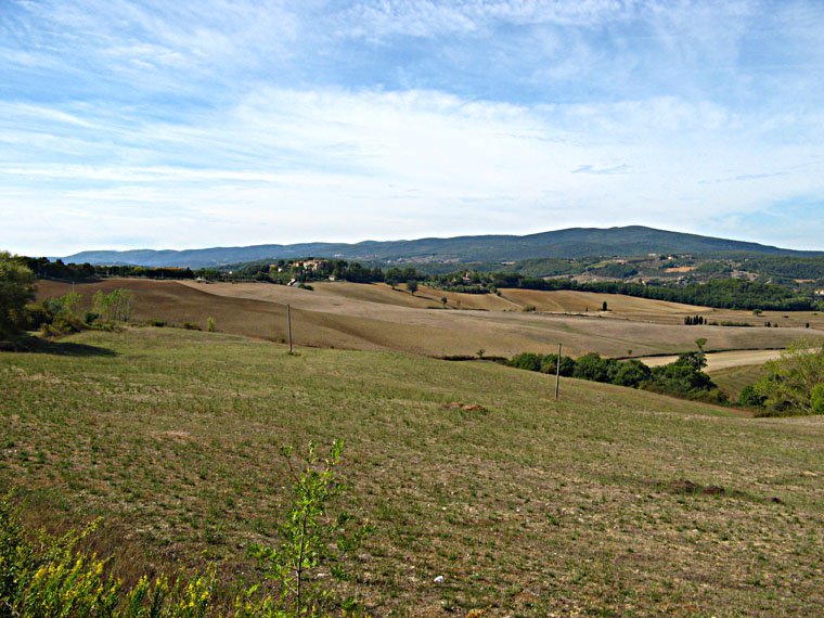 Siena