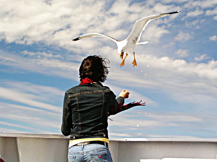 From the Ferry Boat
