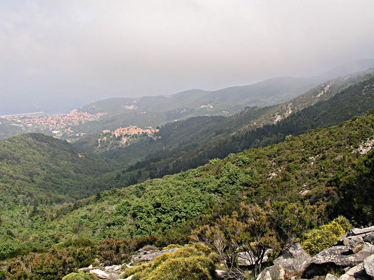 Marciana
