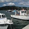 Marina in Campo