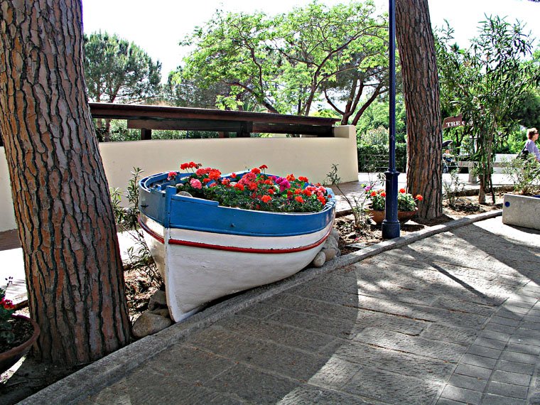 Marina in Campo