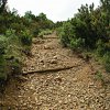 Rio nell'Elba