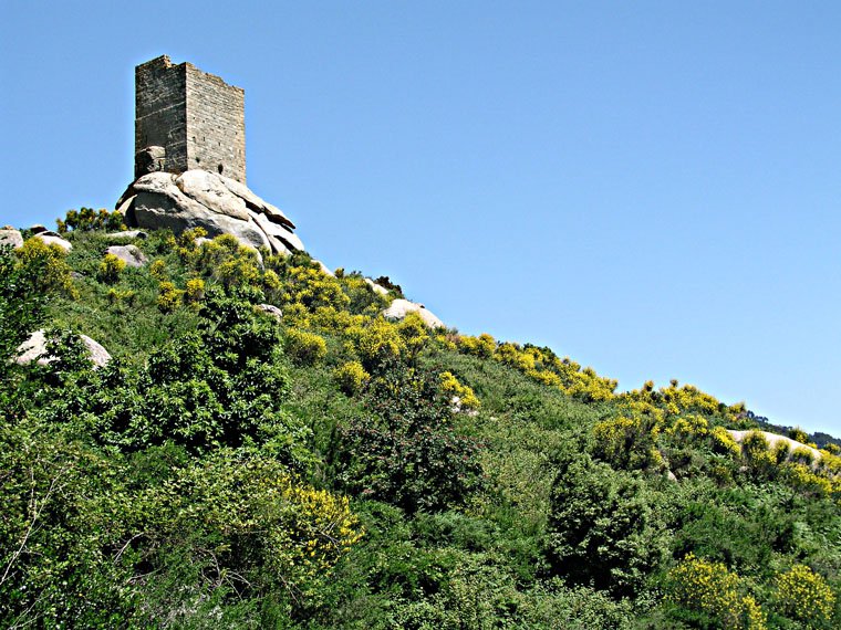 Sant'ilario in Campo