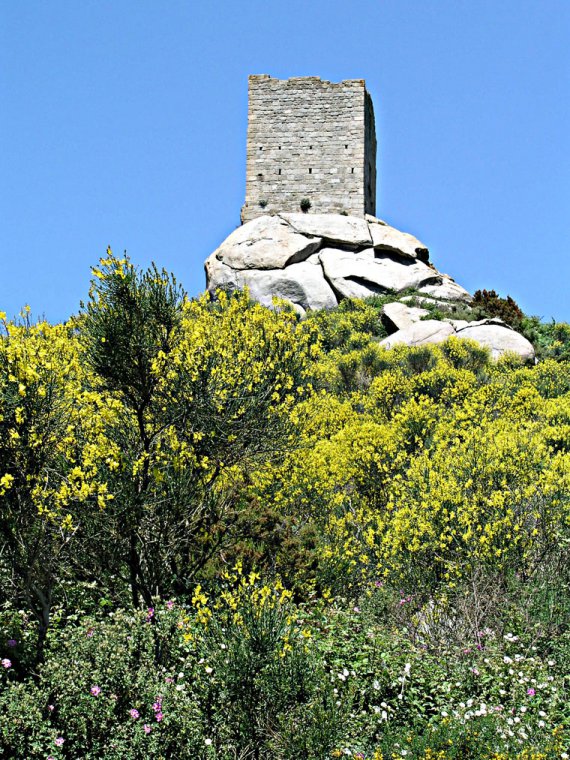 Sant'ilario in Campo