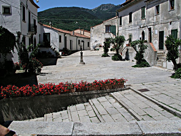 Sant'ilario in Campo