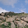 Caprili