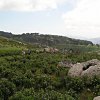 Caprili