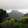 Volterraio