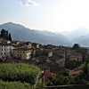 Barga