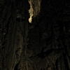 Grotta del vento