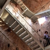 Climb up Guinigi Tower