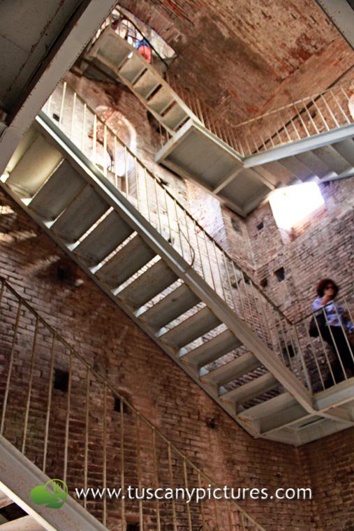 Climb up Guinigi Tower