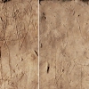 Detail of graffiti of Santa Rreparata