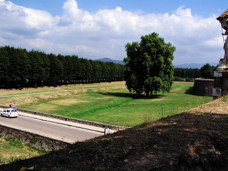 Lucca City Walls