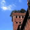 Torre Guinigi
