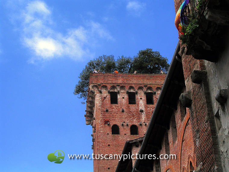 Torre Guinigi