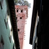 Torre Guinigi