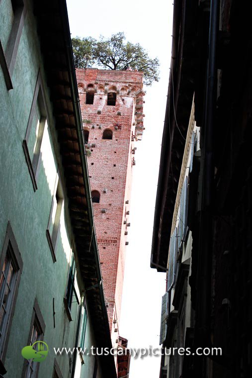 Torre Guinigi