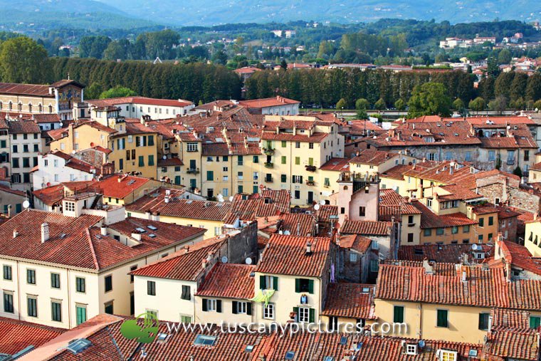 View of Piazza dell'Anfiteatro